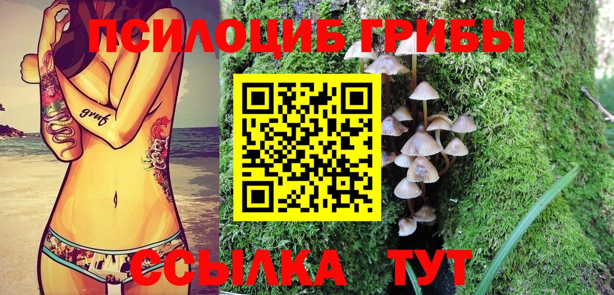 наркошоп  Вход с VPN  Нефтеюганск  Псилоцибиновые грибы MAGIC MUSHROOMS 